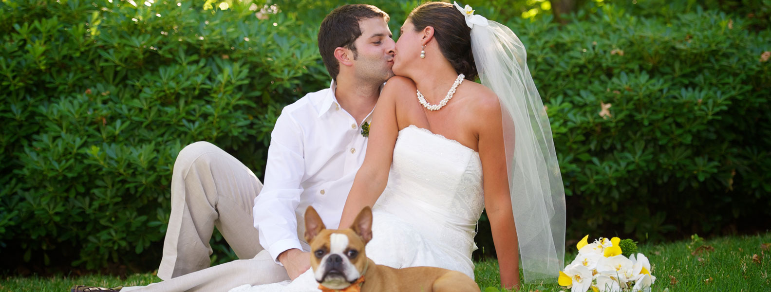 平台在线ddos压力测试